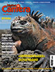 Журнал «Digital Camera» №3 (2008)