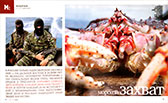 Sea capture. The Bear Magazine, November 2004