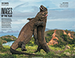 Andrey Gudkov Images of of the year according to the magazine «Nature», December 2015