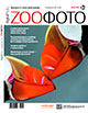 Tailored supplement to Digital Photo magazine. ZOOPHOTO, special edition 1 of the year 2008. Practical training session  of wild nature photography.